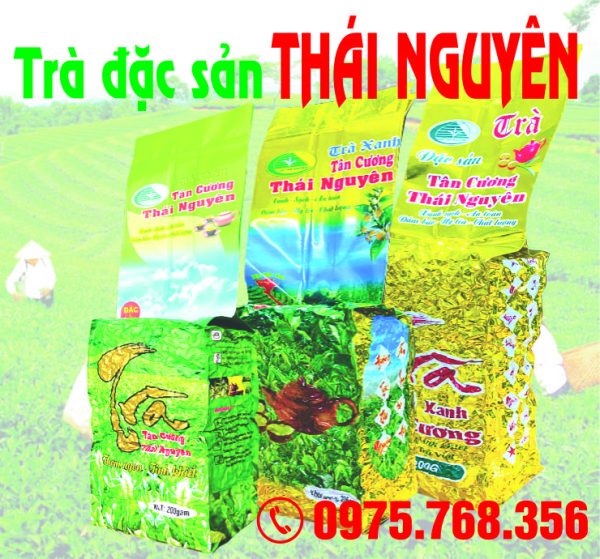 Trà Thái Nguyên
